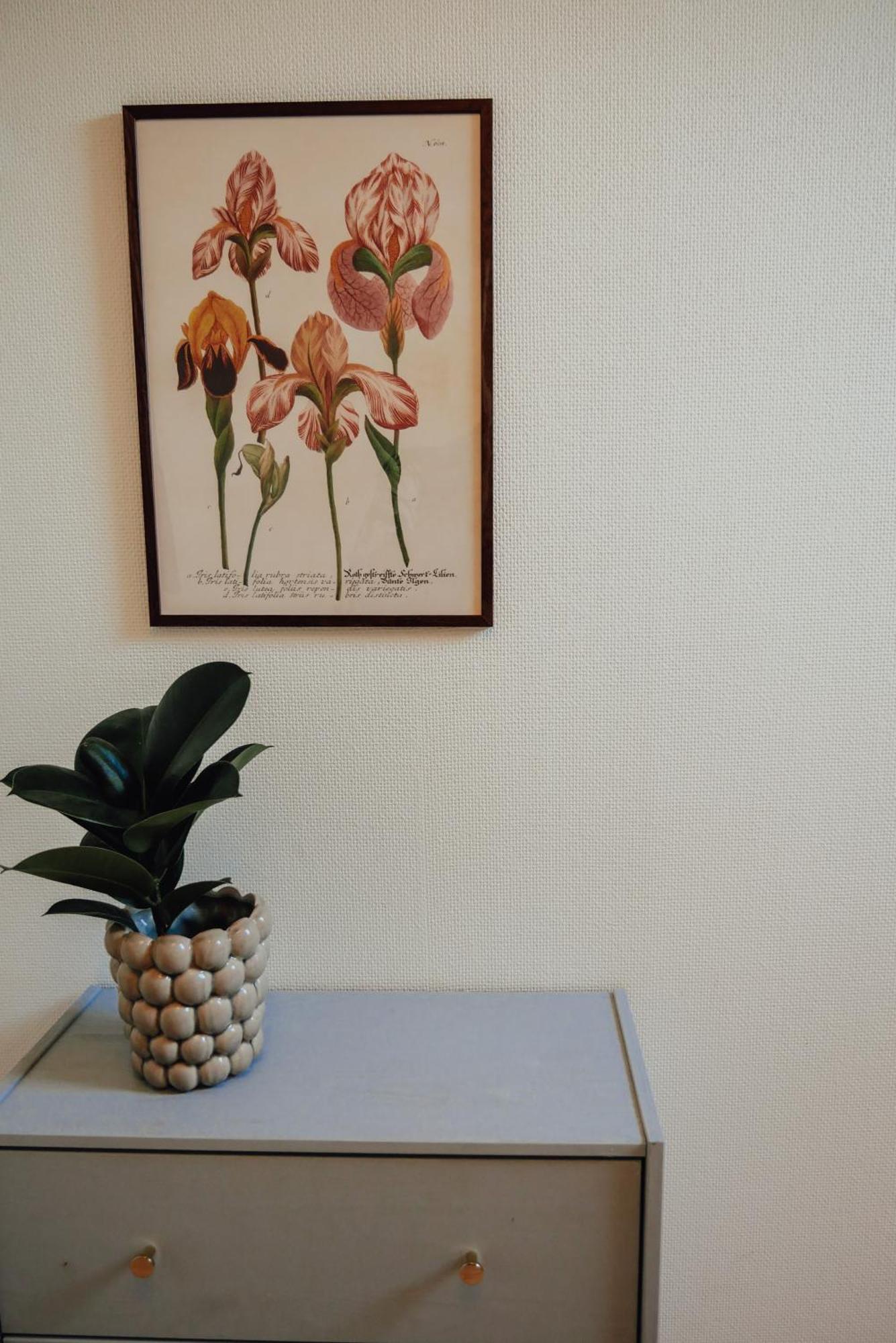 Aespoegarden Bed & Breakfast Klagstorp Εξωτερικό φωτογραφία